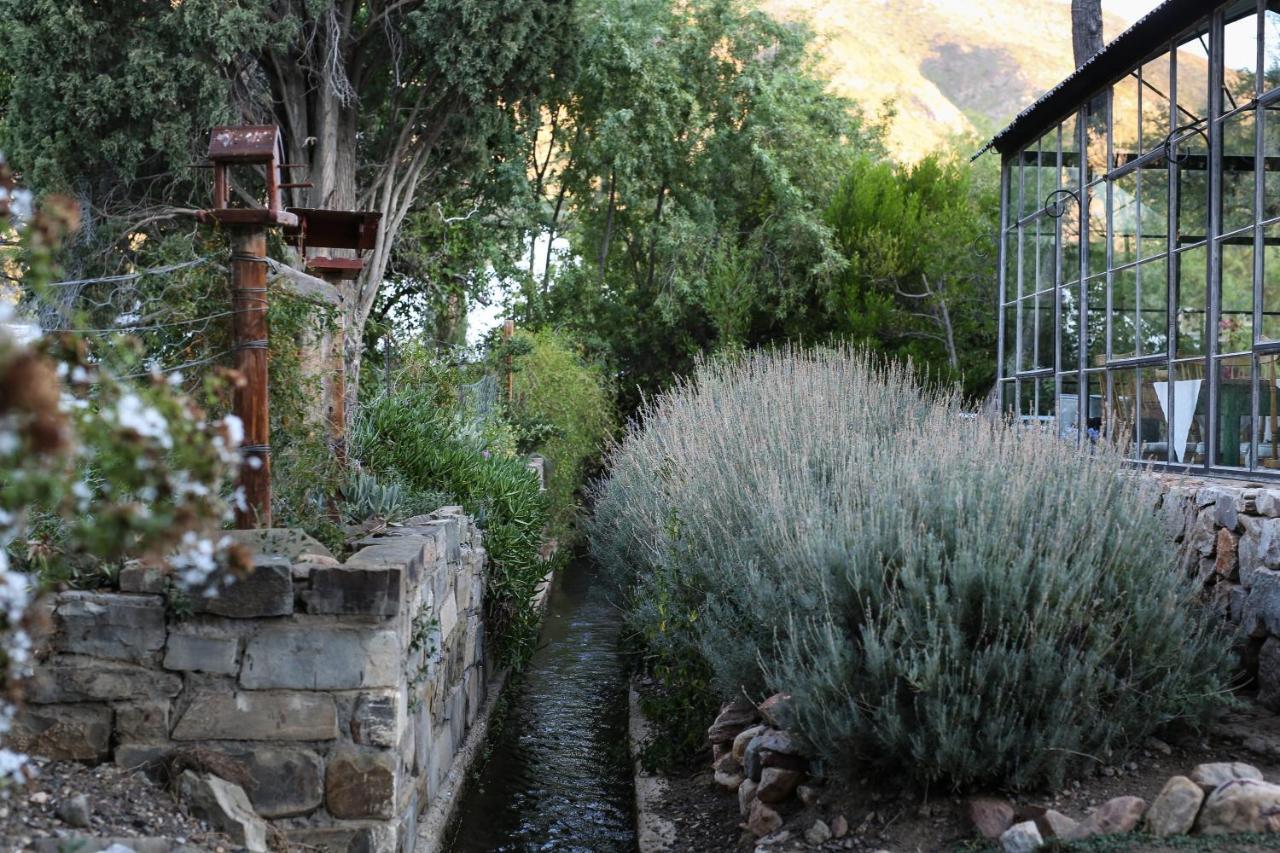 Dennehof Karoo Guesthouse Prince Albert Ngoại thất bức ảnh